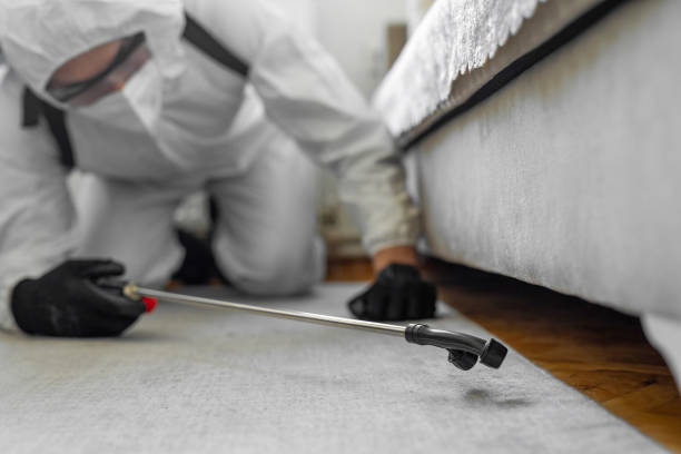 Professional Bed Bug Control technician working in Louisa County County, VA